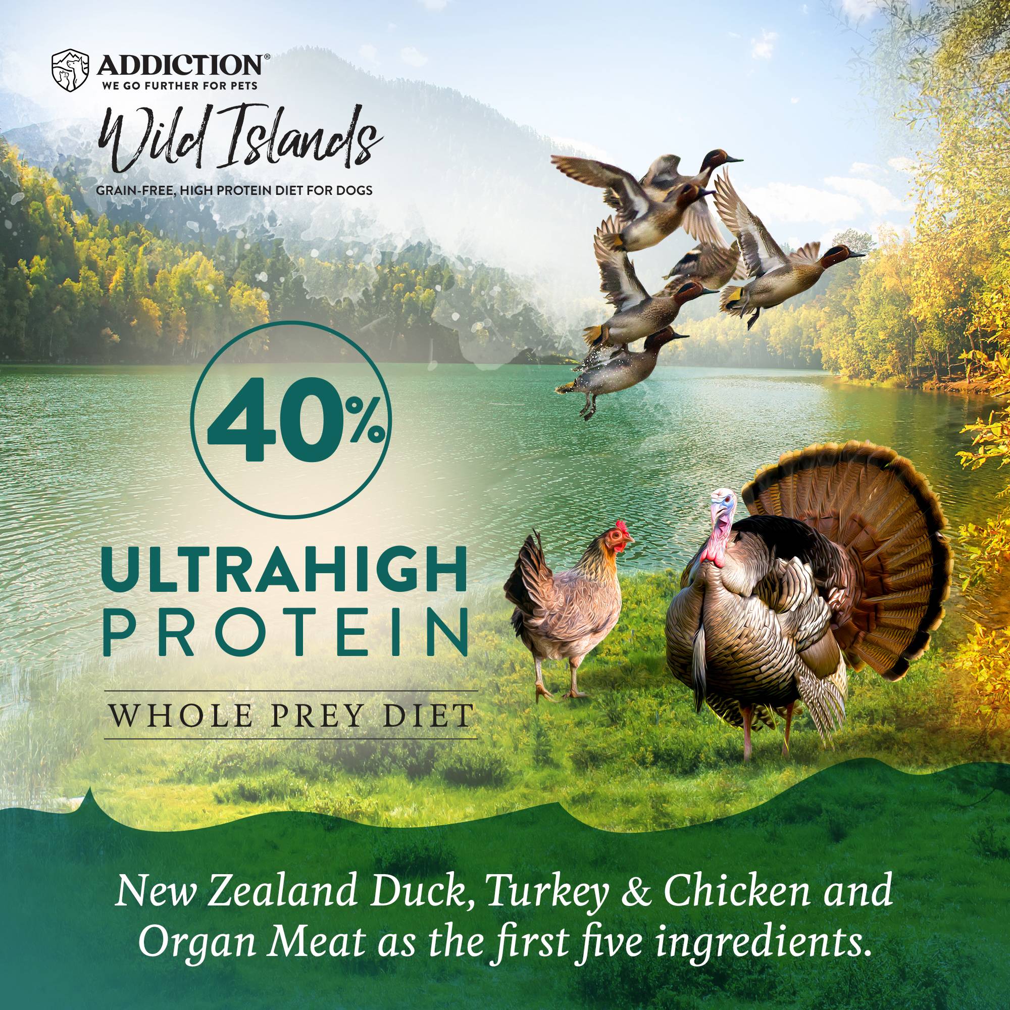 Addiction Wild Islands Ultrahigh Protein Island Birds, Duck, Turkey & Chicken Dry Dog Food - Image 3