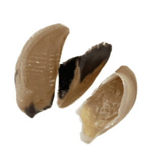 Ranger Beef Hooves