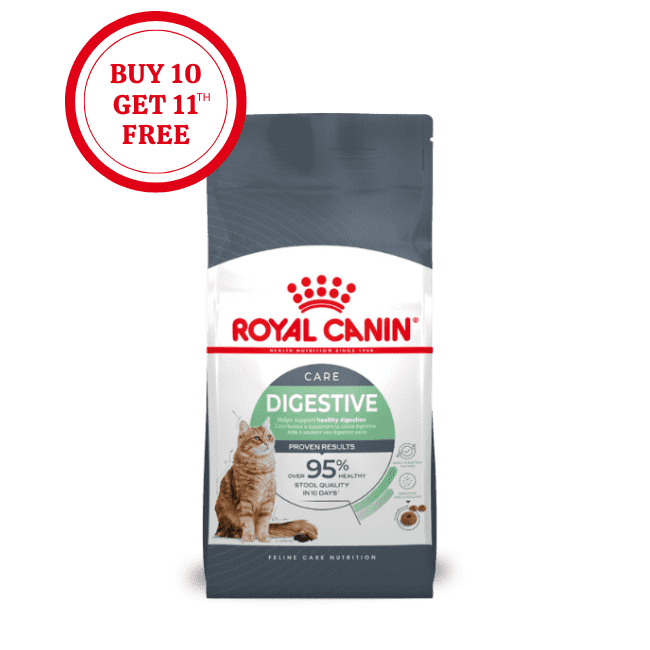 Royal Canin Digestive Care Dry Cat Food