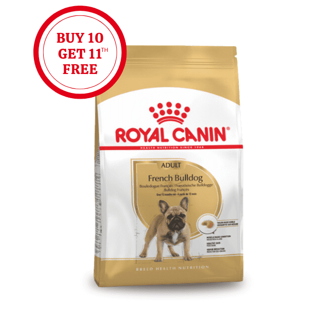 Royal Canin French Bulldog Adult Dry Food
