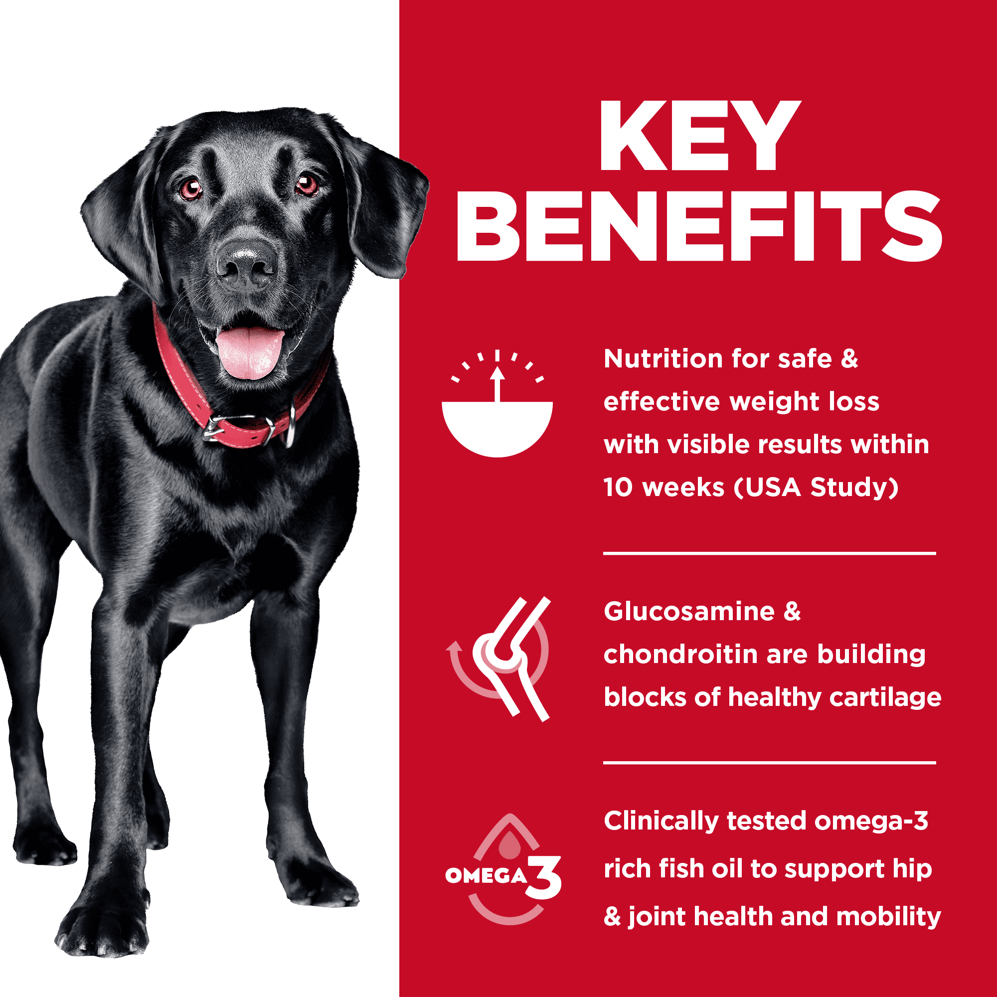 Hill’s Science Diet Adult Perfect Weight Large Breed + Joint Support Dry Dog Food - Image 3