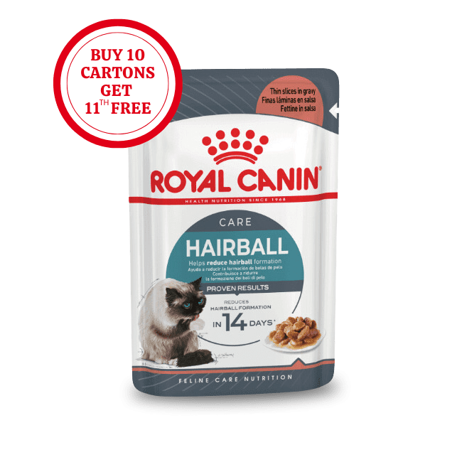 Royal Canin Hairball Care in Gravy