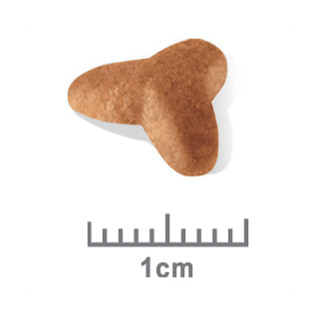Royal Canin Pug Puppy Dry Food - Image 3