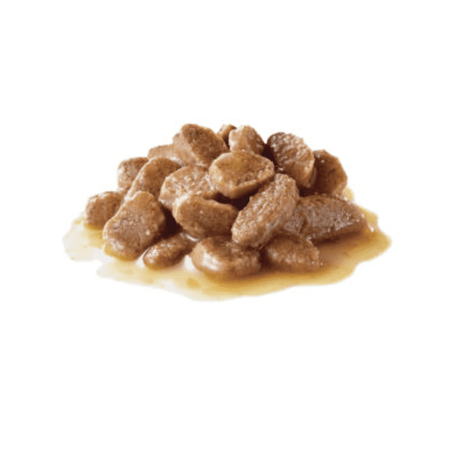 Royal Canin Hairball Care in Gravy - Image 2
