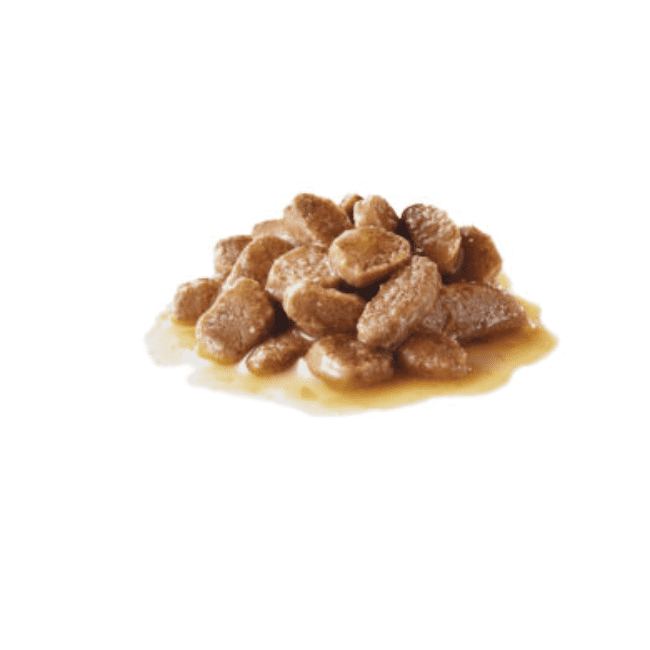 Royal Canin Indoor 7+ Gravy - Image 3