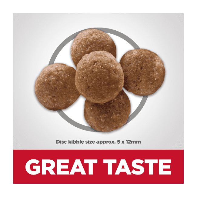 Hill's Science Diet Adult Perfection Digestion Dry Dog Food - Image 3