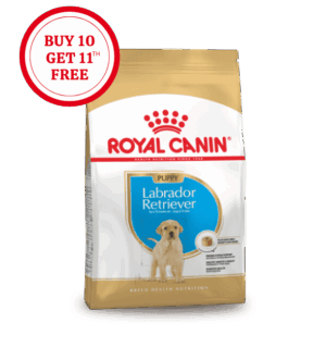 Royal Canin Labrador Retriever Puppy Dry Food