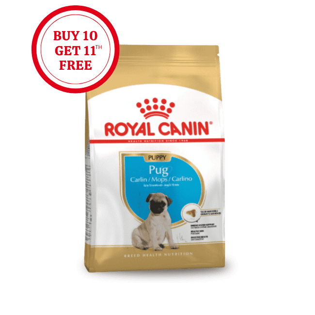 Royal Canin Pug Puppy Dry Food
