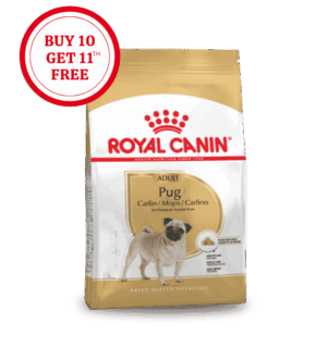 Royal Canin Pug Adult Dry Food