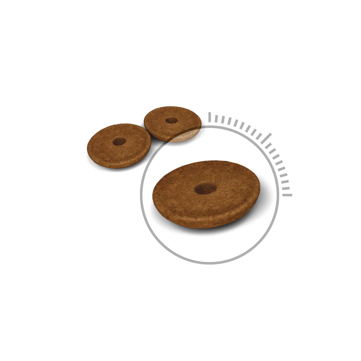 Royal Canin Digestive Care Dry Cat Food - Image 2