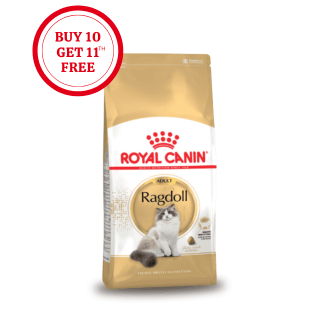 Royal Canin Ragdoll Adult