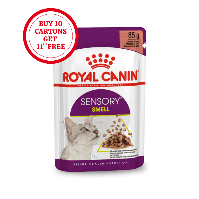 Royal Canin Sensory Smell Chunks in Gravy